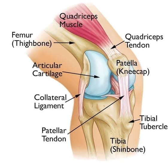 Treatment for Patellofemoral Knee Pain Warners Bay